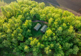 Vue aérienne de tentes safari entourées de forêt à Wilsumer Berge, Allemagne, près de champs cultivés.