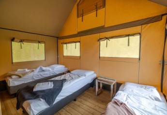 Vista interior de una tienda safari en Wilsumer Berge, Alemania, con tres camas y suelo de madera.