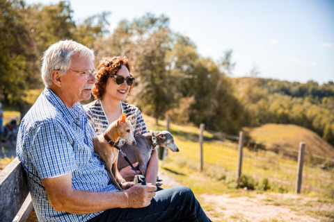 Pareja mayor sentada en un banco con dos perros en Biebosch lodge, Resort Mooi Bemelen, Países Bajos, al sol.