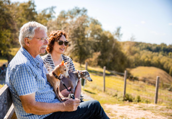 Older couple with two dogs sit on a bench at Biebosch lodge, Resort Mooi Bemelen, Netherlands, enjoying sun.