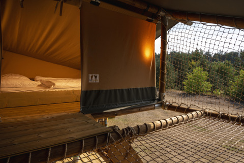Tienda safari en Wilsumer Berge, Alemania, con cama cómoda y vistas al bosque para una experiencia glamping.