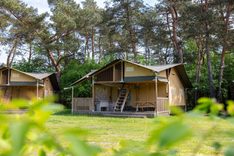 Tienda safari en Wilsumer Berge, Alemania, rodeada de árboles y naturaleza en un día soleado.