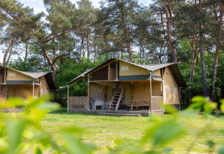 Tienda safari en Wilsumer Berge, Alemania, rodeada de árboles y naturaleza en un día soleado.