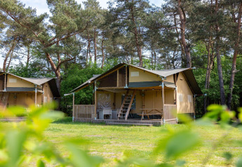 Tienda safari en Wilsumer Berge, Alemania, rodeada de árboles y naturaleza en un día soleado.