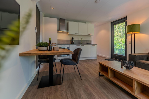 Moderne keuken en woonkamer in Forest Cabin bij Holiday Park BreeBronne in Nederland met sfeervolle inrichting.