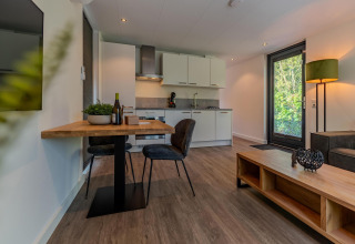 Moderne indretning af køkken og stue i Forest Cabin på Holiday Park BreeBronne i Holland med lyse farver.