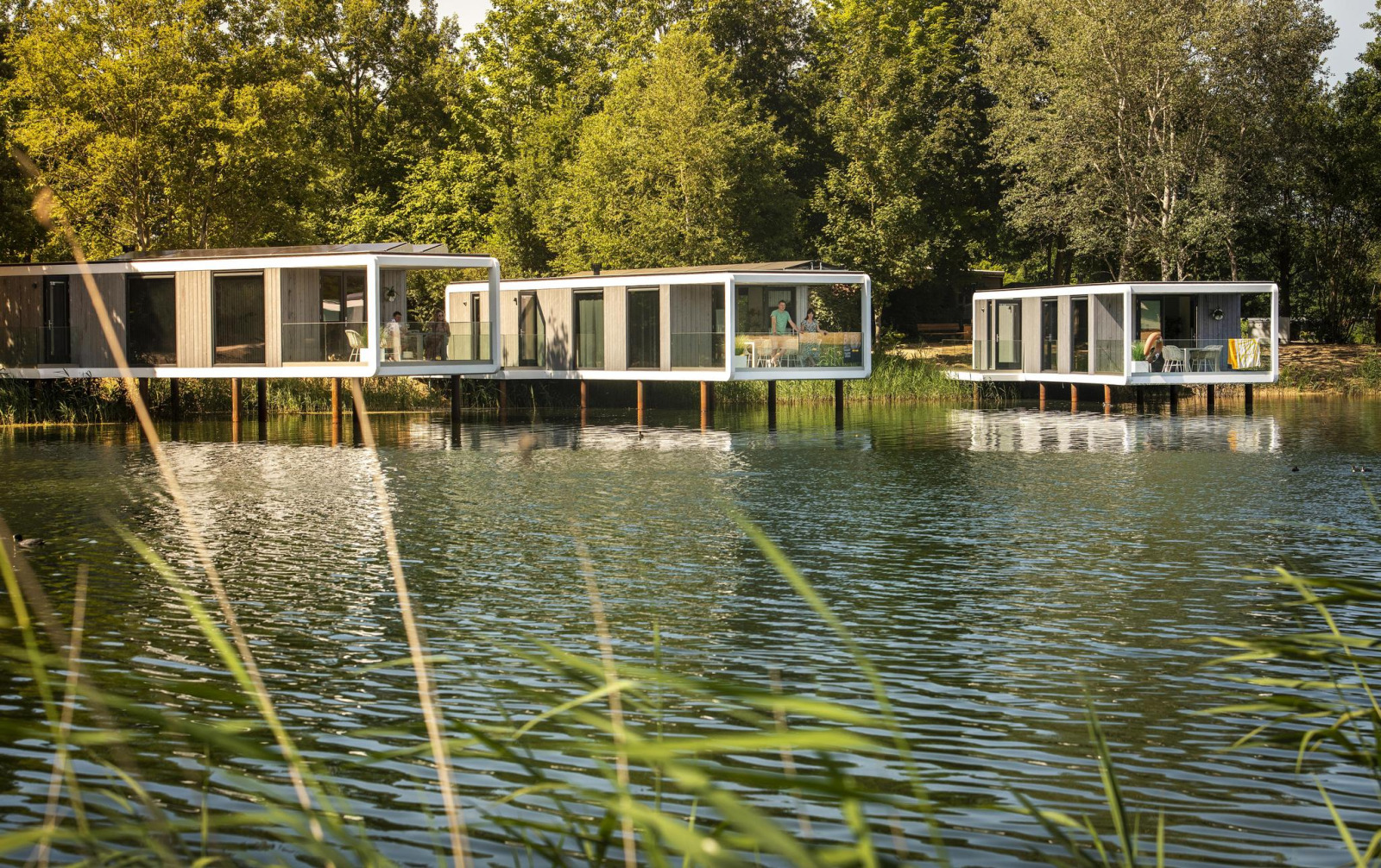 Water Cube