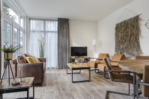 Moderne woonkamer van een Tiny House in Bospark Markelo, Nederland, met rustieke en gezellige inrichting.