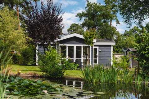 Tiny house aan een vijver, omringd door groen in Bospark Markelo, Nederland, op een zonnige dag.