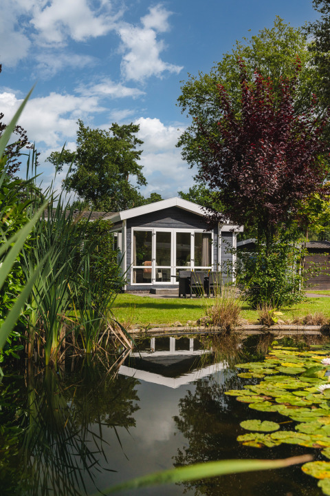 Tiny house Forest Lodge Wellness aan een vijver, omgeven door groen in Bospark Markelo, Nederland.