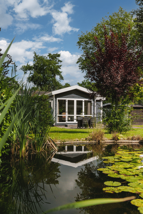 Klein huisje Forest Lodge Wellness bij een vijver, omgeven door natuur in Bospark Markelo, Nederland.