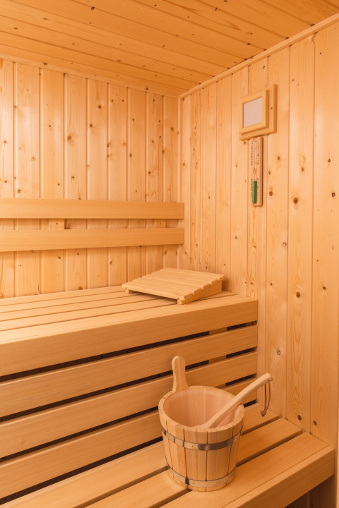 Interieur van een moderne houten sauna met banken en emmer bij Forest Lodge Wellness, Bospark Markelo.