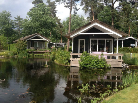 Twee tiny houses aan een vijver met groen bij Bospark Markelo in Nederland, omgeven door natuur.
