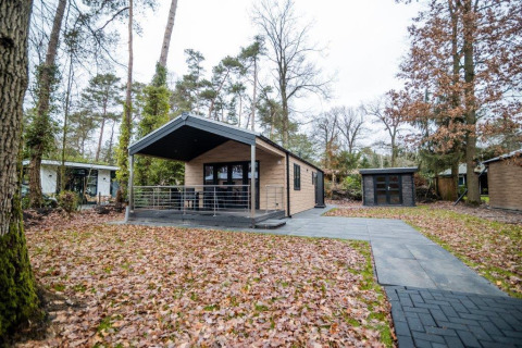 Chalet avec terrasse à Bospark Markelo aux Pays-Bas, entouré d'arbres et de feuilles d'automne au sol.