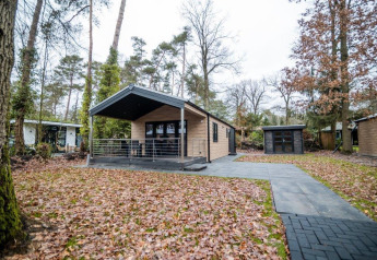 Udsigt over Terrace Chalet ved Bospark Markelo i Holland, omgivet af træer og efterårsblade på jorden.