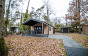 Terrace Chalet at Bospark Markelo in the Netherlands, surrounded by trees and fallen autumn leaves on the ground.
