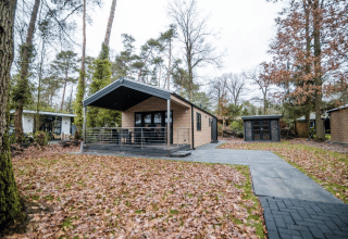 Chalet avec terrasse à Bospark Markelo aux Pays-Bas, entouré d'arbres et de feuilles d'automne au sol.