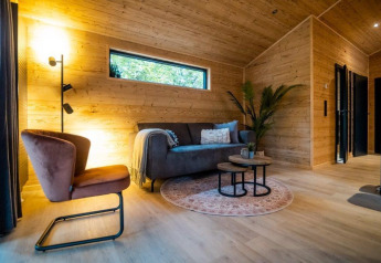 Stue i Terrace Chalet på Bospark Markelo, Holland, med lyst træinteriør og moderne møbler.