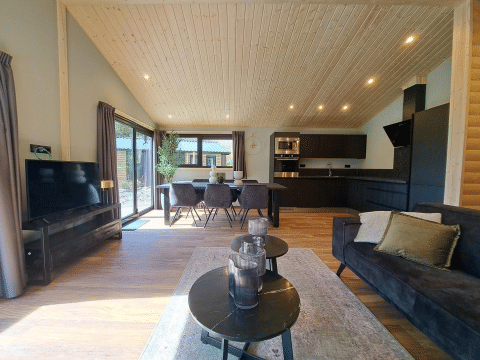 Moderne Lodge mit offener Küche, Wohnbereich und großen Fenstern im Hackfort Wood Hottub 6, Niederlande.