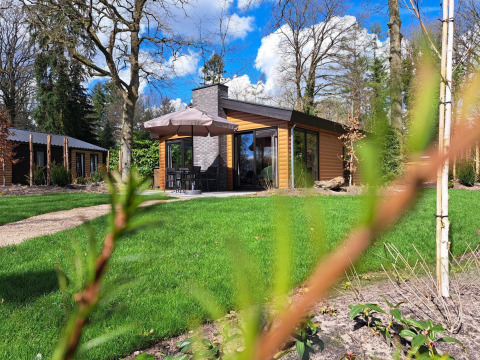 Lodge Hackfort Wood Hottub 6 en De Utrechtse Heuvelrug, Países Bajos, rodeado de césped verde y árboles frondosos.