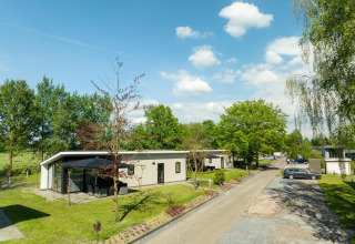 Bos Lodge bij Holiday Resort 't Schuttenbelt in Nederland, omgeven door veel groen en blauwe lucht.