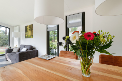 Stue i Bos Lodge på Holiday Resort 't Schuttenbelt i Holland, blomstervase på træbord, moderne design.