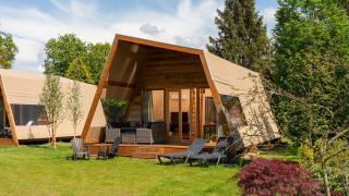Safari telt lodge XL med sanitet hos Holiday Resort 't Schuttenbelt i Holland, omgivet af grønt.