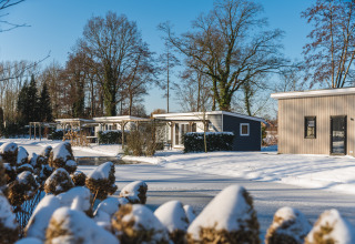 Lodge innevati di Lodge Mistique, Holiday Park De Lochemse Berg, Paesi Bassi, circondati da alberi in inverno.