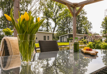 Terrazza esterna presso Lodge Mistique, Holiday Park De Lochemse Berg, con tulipani, bevande e stuzzichini sul tavolo.