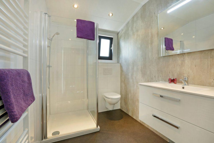 Baño moderno con ducha de vidrio, inodoro y lavabo blanco en Lodge Grand Modern en De Lochemse Berg.