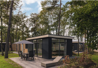 Moderne Kubus Lodge med sauna i Holiday Park De Lochemse Berg, Holland, omgivet af træer og have.