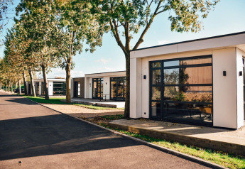 Moderne lodges aan Villa Maritiem in MarinaPark Bad Nederrijn, Nederland, met glasramen en bomen.