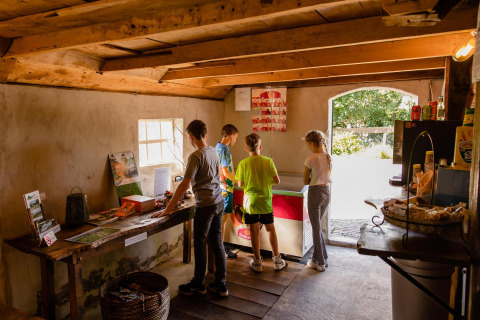 Kinderen kiezen snacks en ijsjes in een sfeervolle glamping-accommodatie met houten balken.