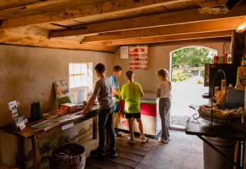 Kinderen kiezen snacks en ijsjes in een sfeervolle glamping-accommodatie met houten balken.