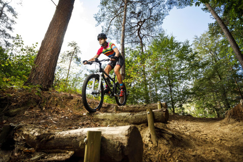 Ciclista de montaña cruza un sendero forestal cerca de un alojamiento glamping en un día soleado.