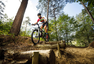 Ciclista de montaña cruza un sendero forestal cerca de un alojamiento glamping en un día soleado.