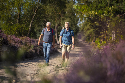 Dos hombres mayores con mochilas caminan por un sendero natural rodeado de flores moradas y árboles verdes.