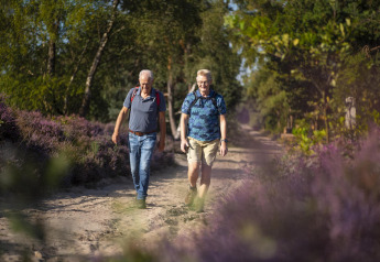 Dos hombres mayores con mochilas caminan por un sendero natural rodeado de flores moradas y árboles verdes.