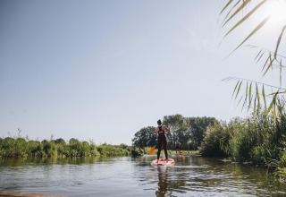 People paddle boarding on a calm river surrounded by greenery, enjoying the outdoors at glamping site.