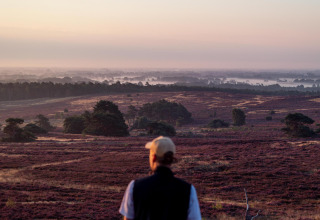 Persona contemplando el paisaje de brezales púrpuras al atardecer cerca de Luxe belltent en De Regge-Vallei.