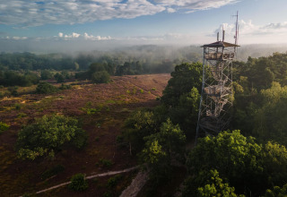 Vista de una torre y bosque cerca de la Luxe belltent en CharmeCamping De Regge-Vallei, Países Bajos.