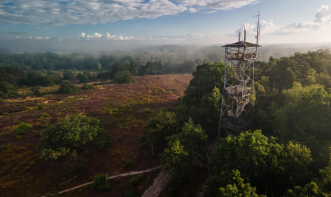 Aussicht auf einen Turm und Waldlandschaft bei der Luxe belltent in CharmeCamping De Regge-Vallei, Niederlande.