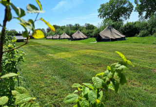 Safari-Zelte beim Glamping auf CharmeCamping De Regge-Vallei in den Niederlanden auf einer grünen Wiese.