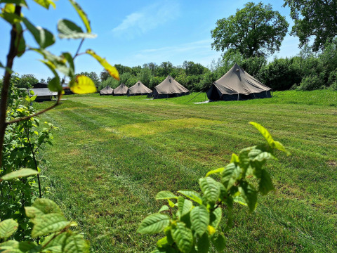Safari-Zelte beim Glamping auf CharmeCamping De Regge-Vallei in den Niederlanden auf einer grünen Wiese.