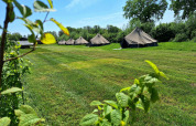 Glamping belltenten bij CharmeCamping De Regge-Vallei in Nederland, opgesteld op een zonnige groene weide.
