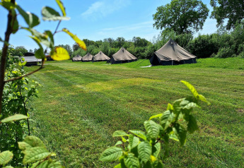 Billede af glamping belltelte på CharmeCamping De Regge-Vallei i Holland, omgivet af grønt landskab.