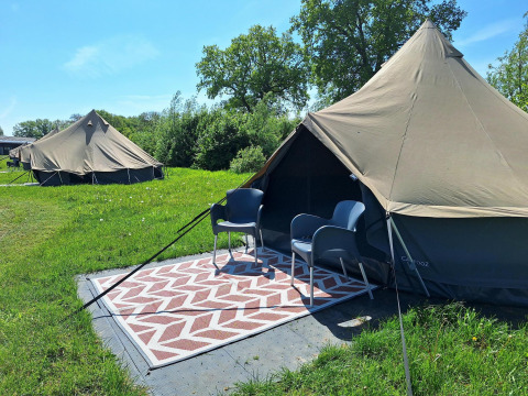 Zwei Safari-Zelte mit Stühlen und Teppich davor auf einer grünen Wiese bei CharmeCamping De Regge-Vallei.