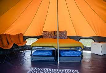 Interno di una tenda glamping safari nei Paesi Bassi con letto, sedie e un piccolo frigorifero visibile.