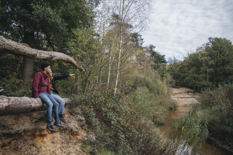 Zwei Personen sitzen auf einem Baumstamm und blicken auf einen Fluss im Wald bei einem Safarizelt in Holland.