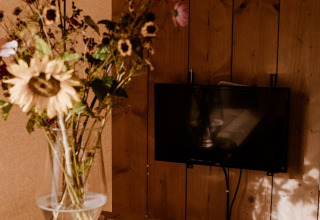 Vase de fleurs sauvages sur étagère en bois et TV murale dans tente safari au parc Eigen Wijze.